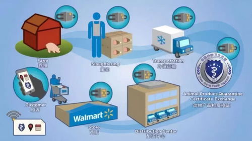 物流托盤(pán) 智能化標(biāo)簽 區(qū)塊鏈新模式,打造透明的供應(yīng)鏈